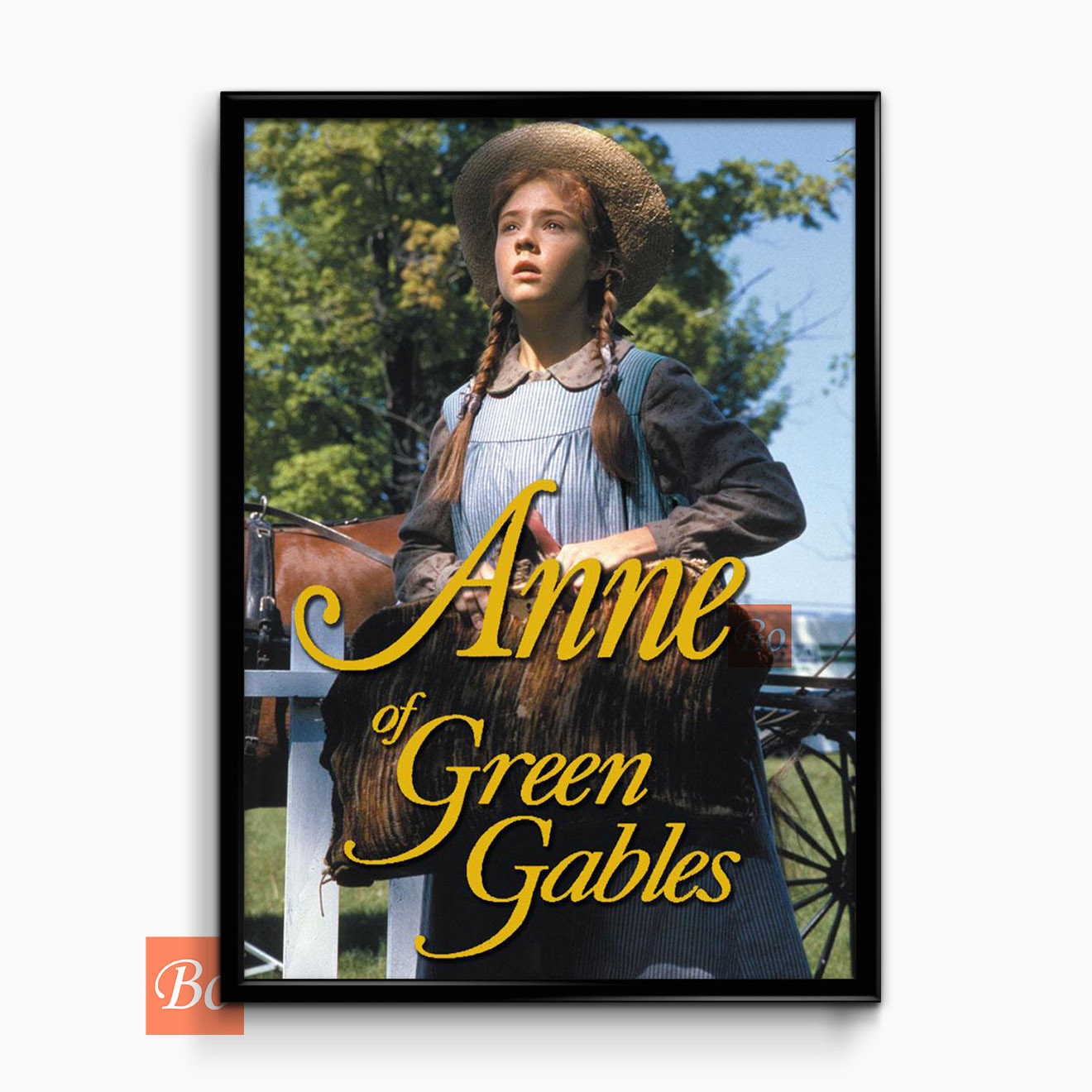绿山墙的安妮电视剧1 Anne of Green Gables Season1 (1985)