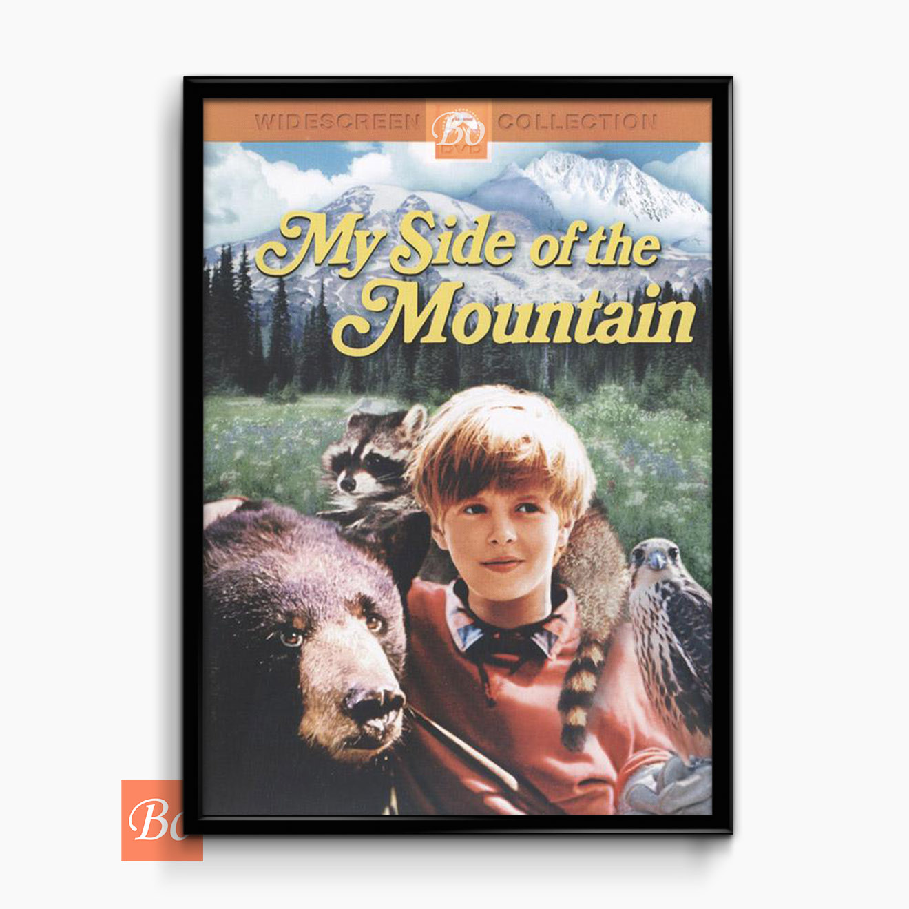 山居岁月 My Side of the Mountain 电影 (1969)