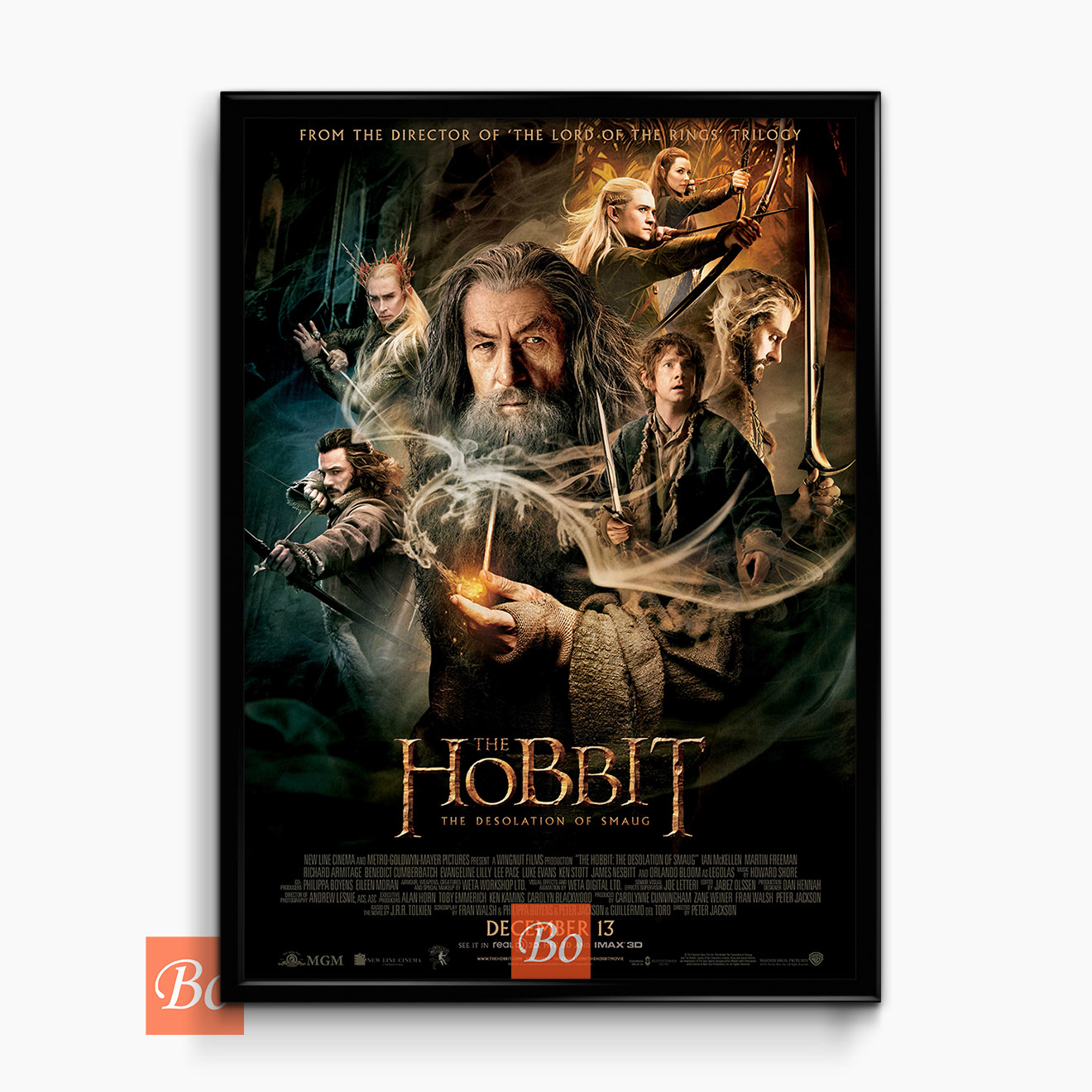 霍比特人2 The Hobbit: The Desolation of Smaug 电影 (2013)