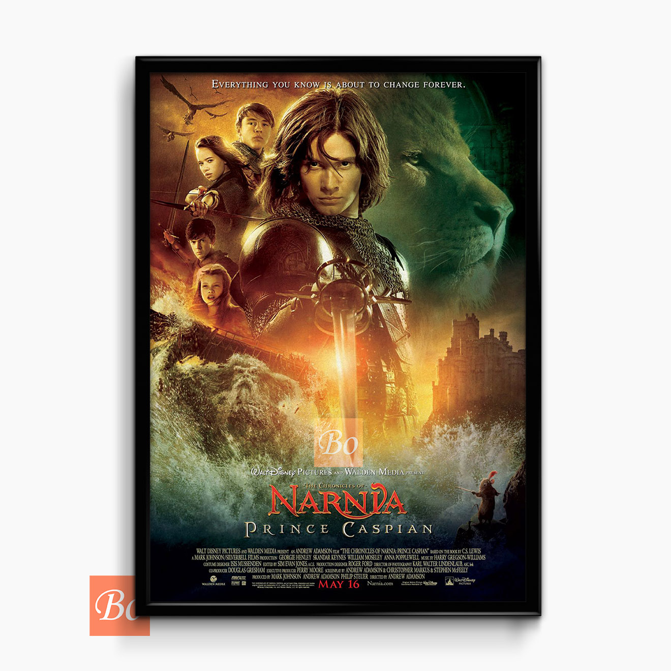 纳尼亚传奇2 The Chronicles of Narnia: Prince Caspian 电影 (2008)