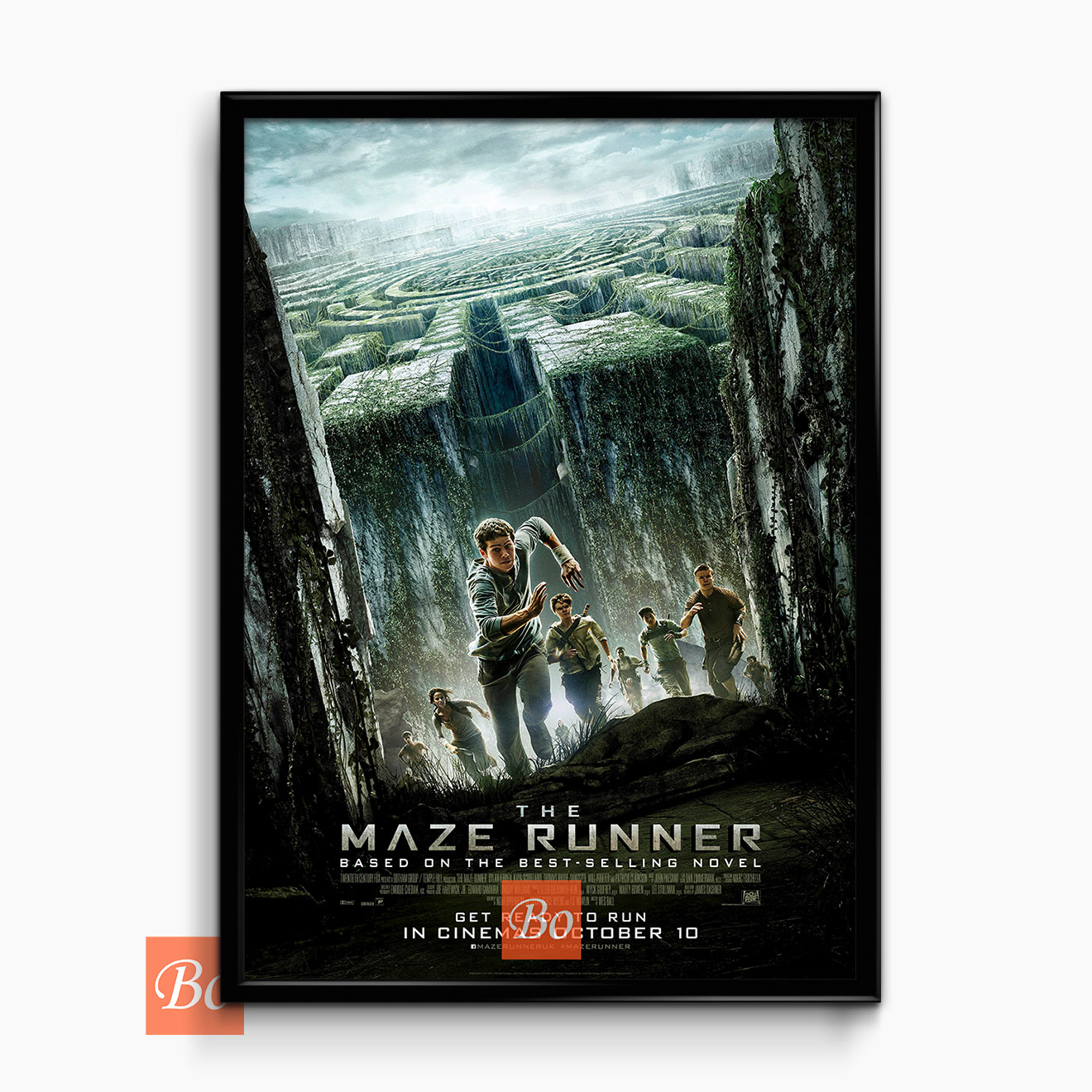 移动迷宫 The Maze Runner 电影 (2014)