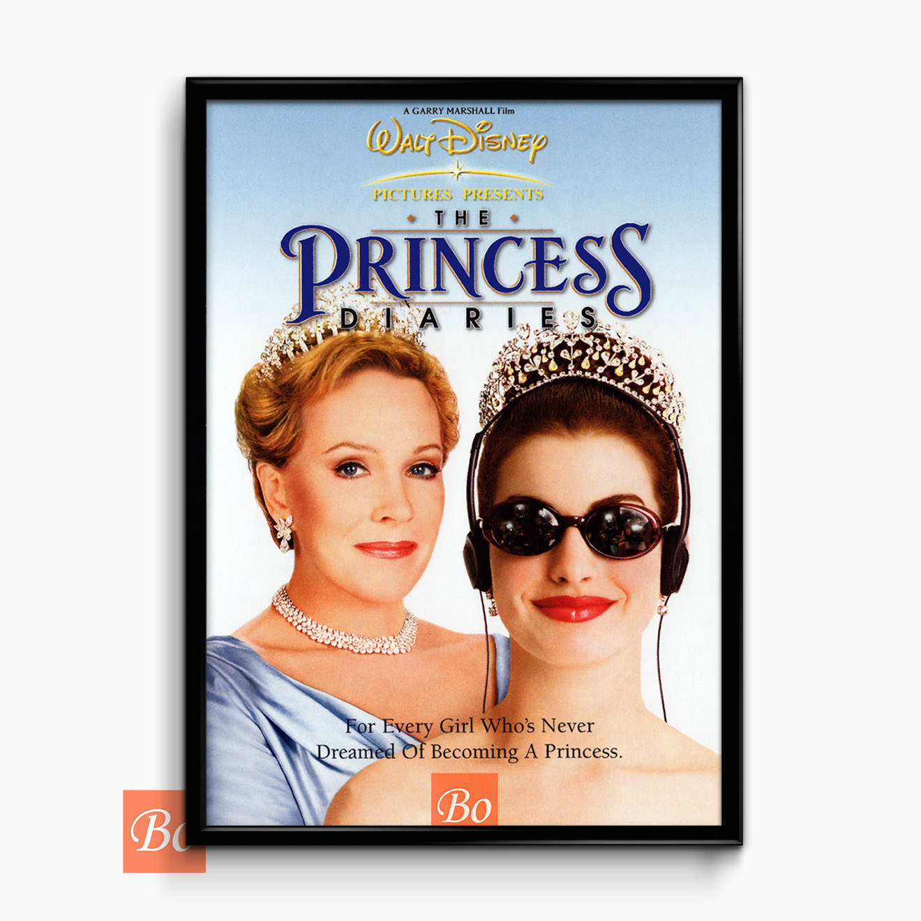 公主日记 The Princess Diaries 电影 (2001)