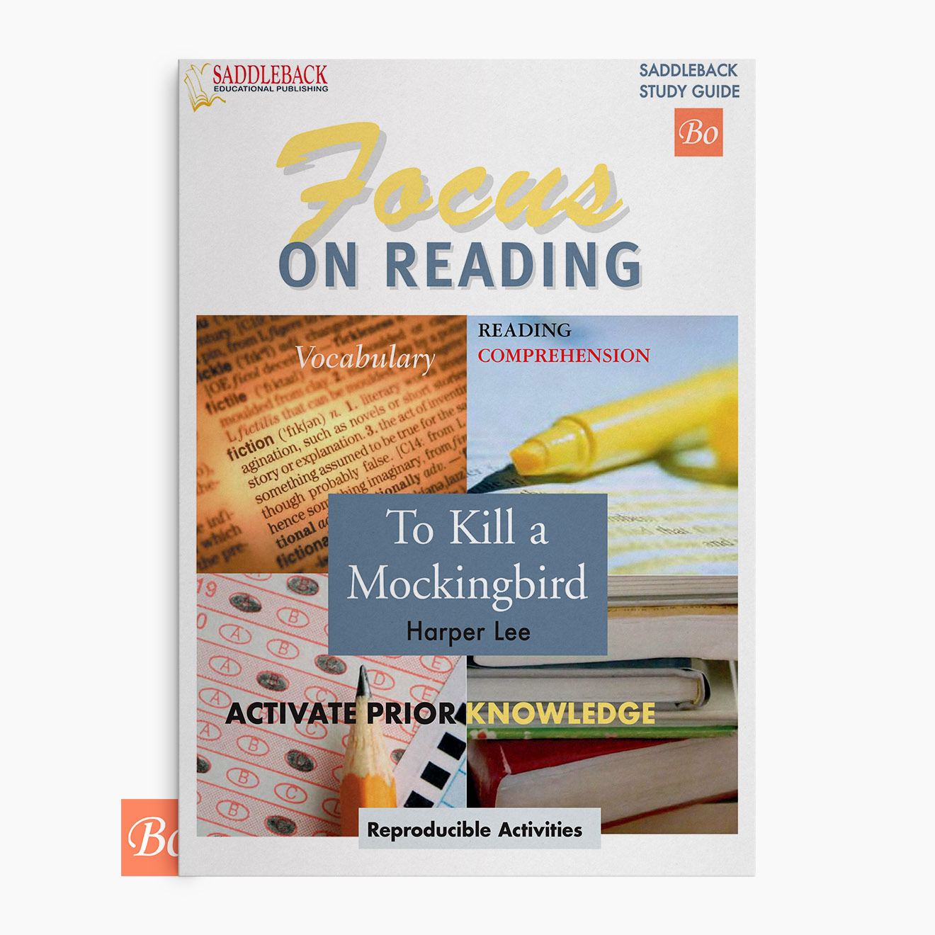 杀死一只知更鸟阅读指南 To Kill a Mockingbird – focus on reading