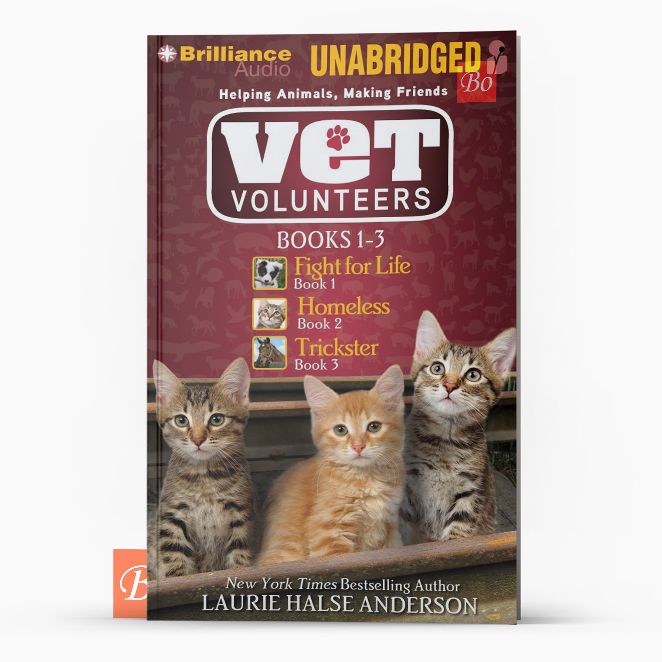兽医志愿者 Vet Volunteers 系列