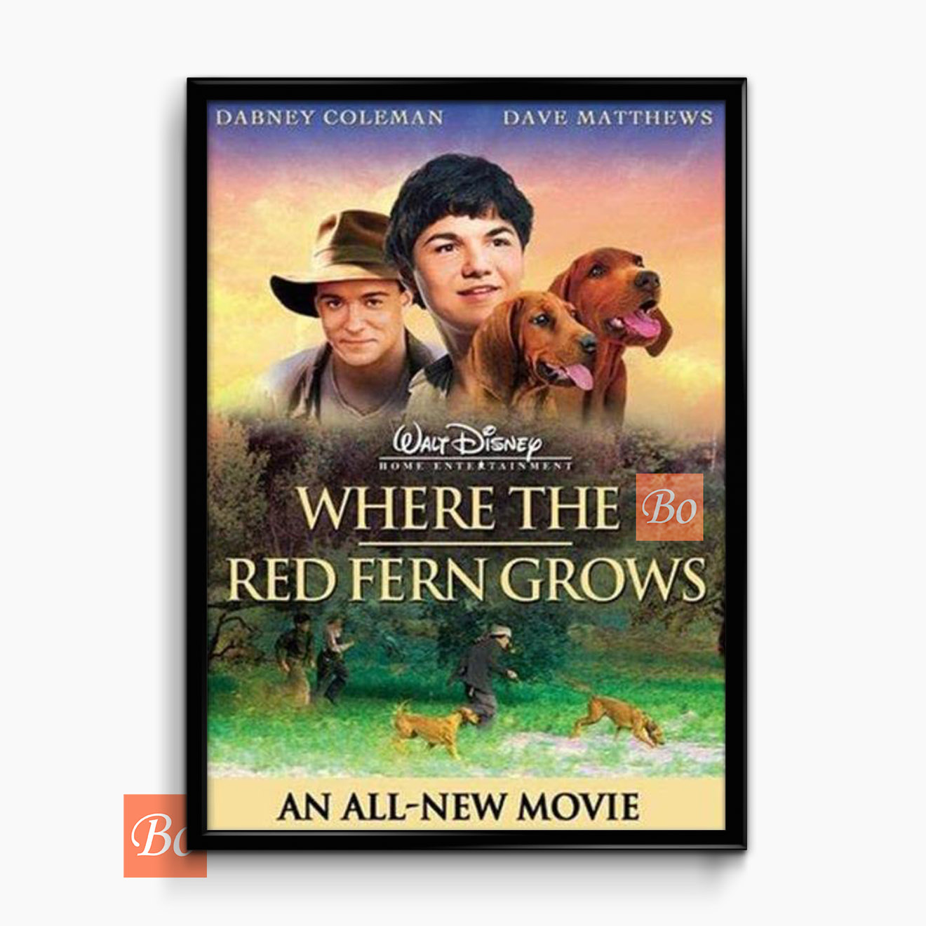 红色羊齿草的故乡 Where the Red Fern Grows 电影 (2003)